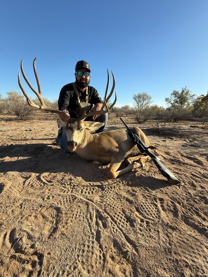 Guided mule deer hunt in the Sonoran desert