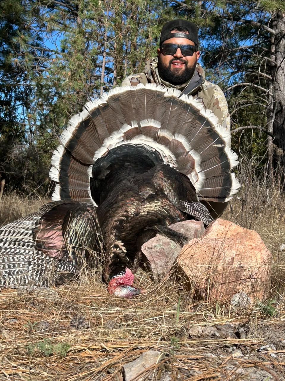 Successful Gould's turkey hunt