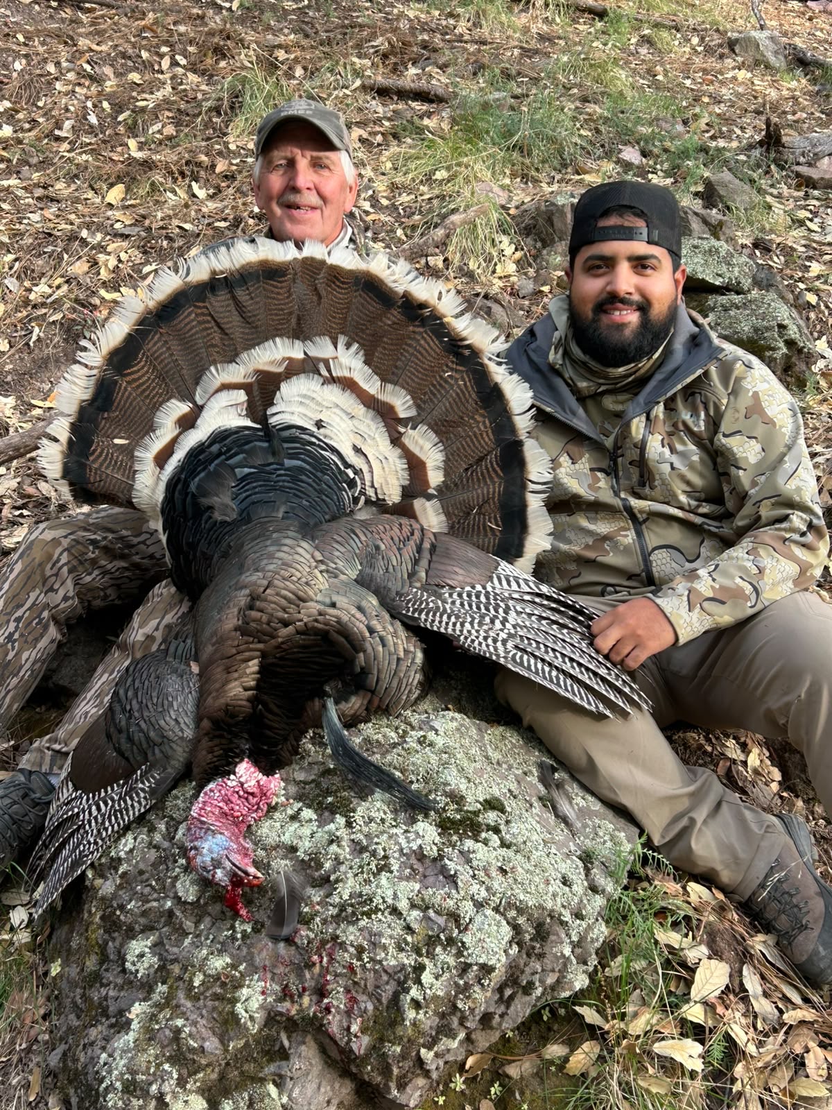 Hunters with a Gould's turkey